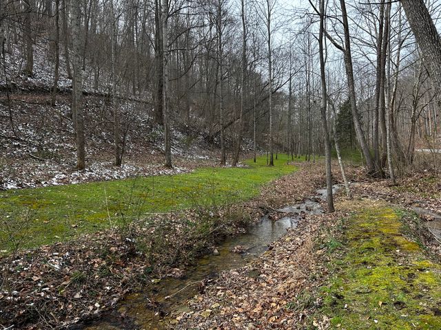 3252 Scotts Branch Road, Vanceburg, KY 41179