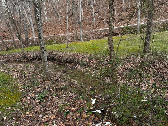 3252 Scotts Branch Road, Vanceburg, KY 41179