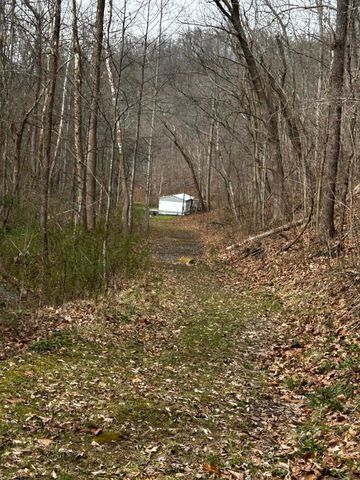 3252 Scotts Branch Road, Vanceburg, KY 41179