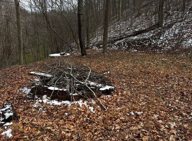 3252 Scotts Branch Road, Vanceburg, KY 41179