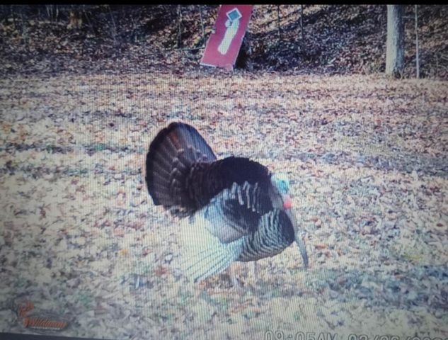 3252 Scotts Branch Road, Vanceburg, KY 41179