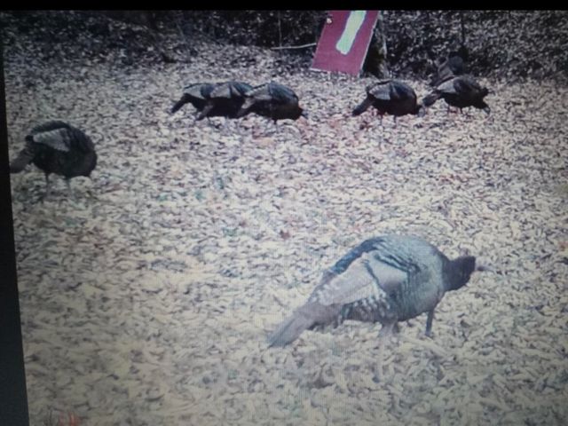 3252 Scotts Branch Road, Vanceburg, KY 41179