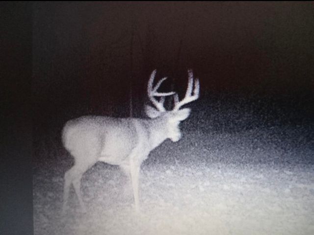 3252 Scotts Branch Road, Vanceburg, KY 41179