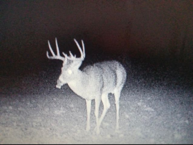 3252 Scotts Branch Road, Vanceburg, KY 41179