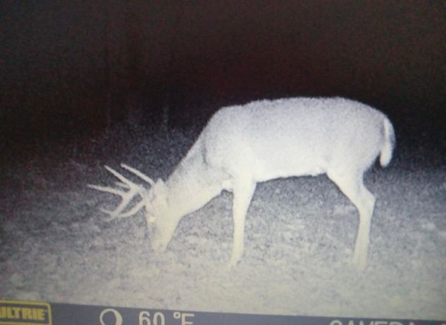 3252 Scotts Branch Road, Vanceburg, KY 41179