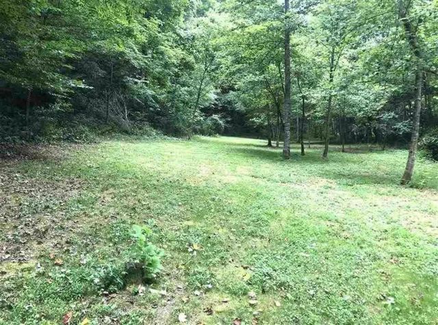 3252 Scotts Branch Road, Vanceburg, KY 41179