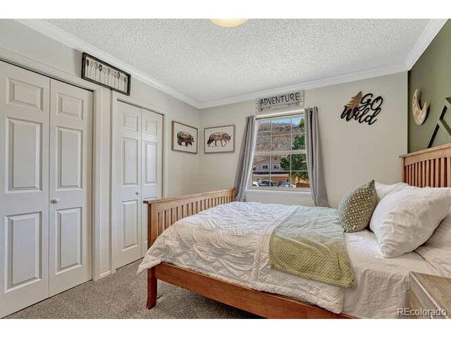 303 Gordon Dr, Castle Rock, CO 80104