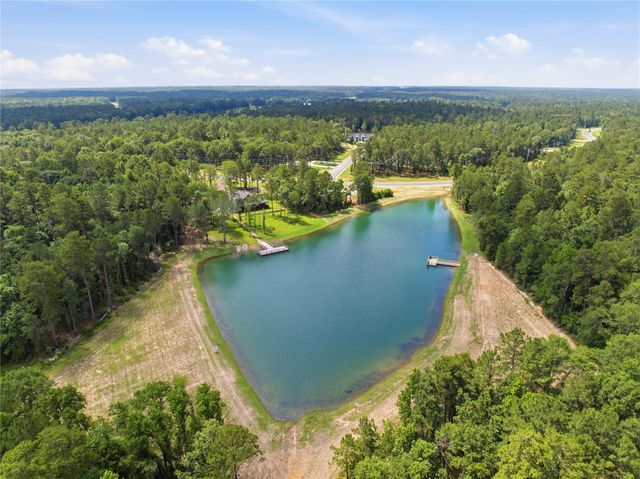 222 Hollow Hill Drive, New Waverly, TX 77340