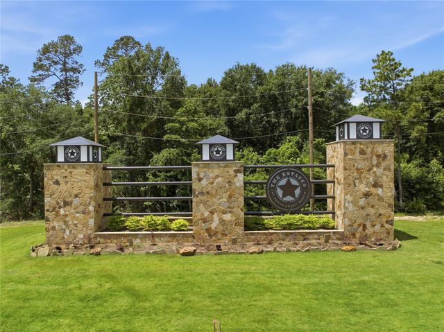222 Hollow Hill Drive, New Waverly, TX 77340