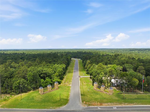 222 Hollow Hill Drive, New Waverly, TX 77340