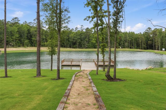 222 Hollow Hill Drive, New Waverly, TX 77340