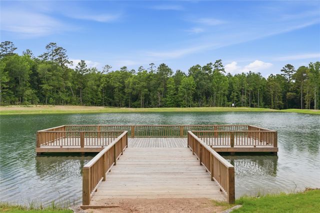 222 Hollow Hill Drive, New Waverly, TX 77340