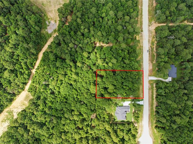 222 Hollow Hill Drive, New Waverly, TX 77340