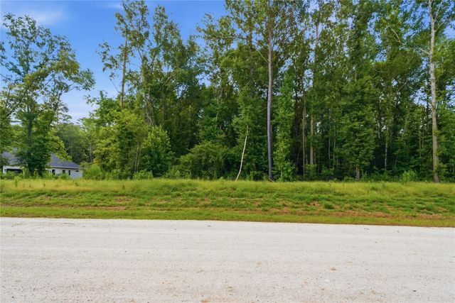 222 Hollow Hill Drive, New Waverly, TX 77340