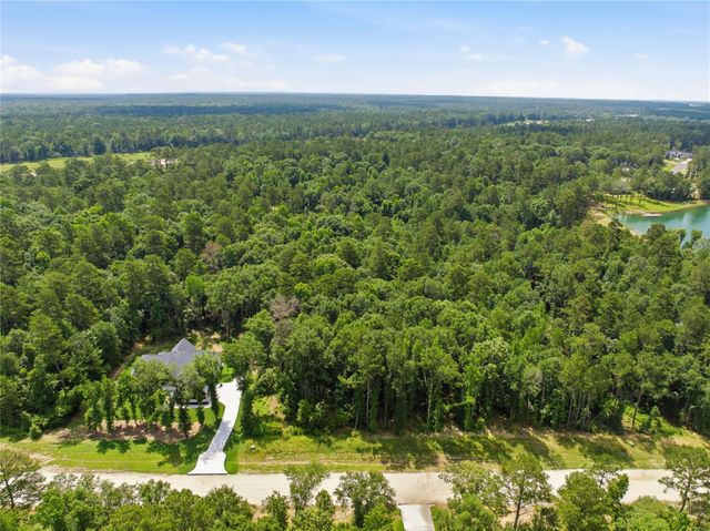 222 Hollow Hill Drive, New Waverly, TX 77340