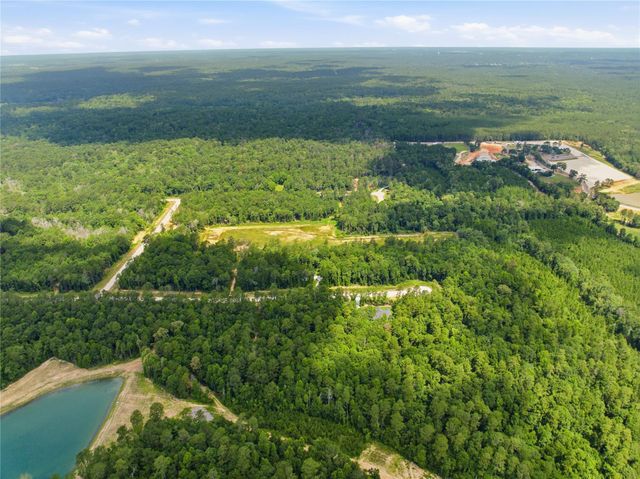 222 Hollow Hill Drive, New Waverly, TX 77340