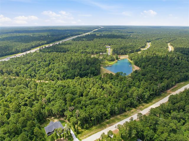 222 Hollow Hill Drive, New Waverly, TX 77340