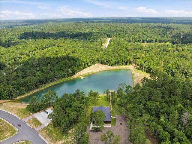 222 Hollow Hill Drive, New Waverly, TX 77340