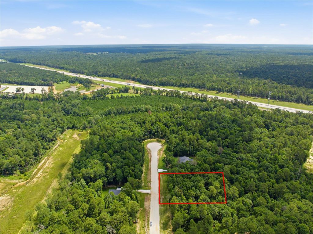 222 Hollow Hill Drive, New Waverly, TX 77340