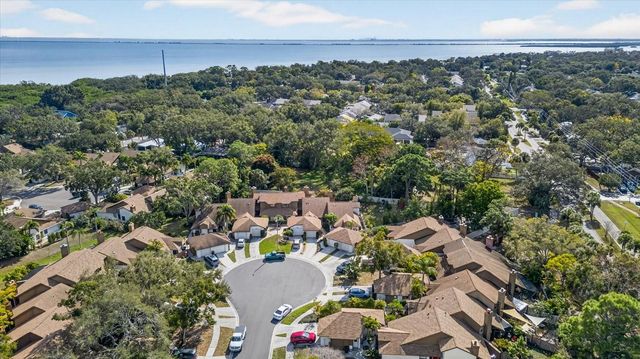 1907 BAYSHORE COURT, Safety Harbor, FL 34695