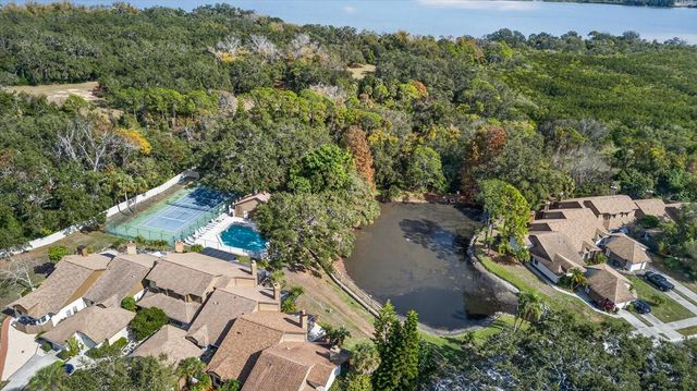 1907 BAYSHORE COURT, Safety Harbor, FL 34695