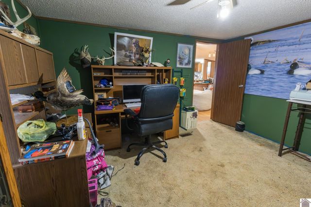 4496 Bandana Rd, Kevil, KY 42053