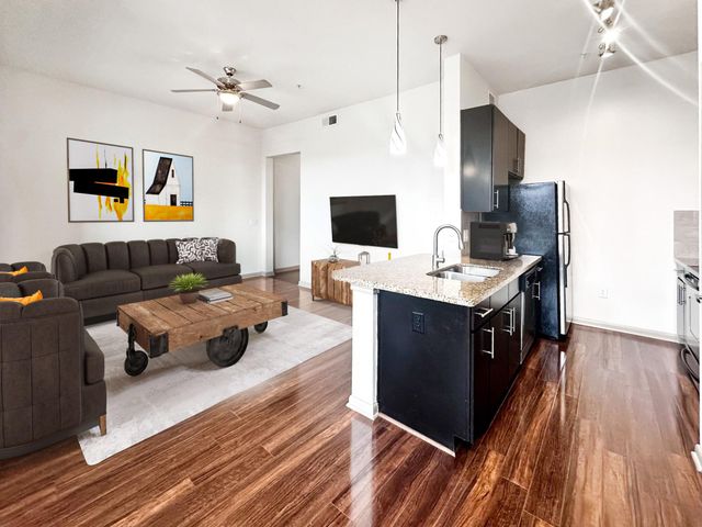 306 Mc Gowen Street 1110, Houston, TX 77006