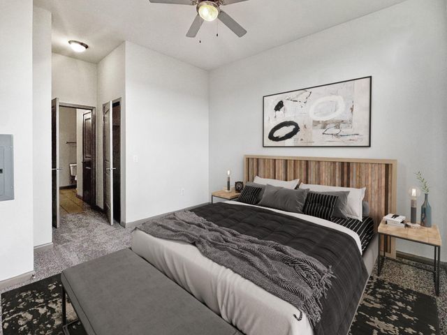 306 Mc Gowen Street 1110, Houston, TX 77006