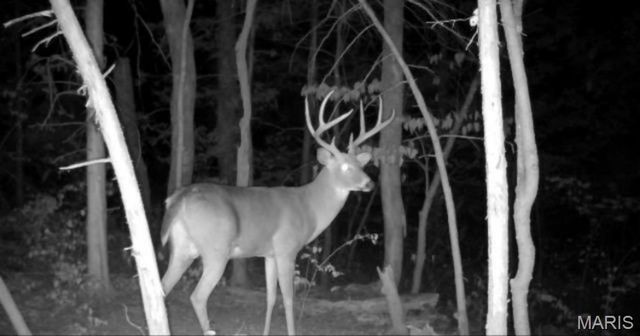 3825 Highway Ee, Owensville, MO 65066