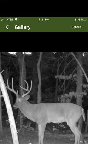 3825 Highway Ee, Owensville, MO 65066