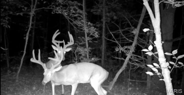 3825 Highway Ee, Owensville, MO 65066