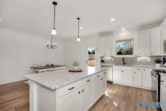 24068 Quints Drive, Athens, AL 35613