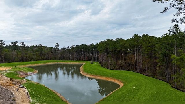 160 Cotton Leaf Boulevard, Summerville, SC 29486