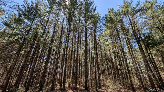 3665 Arivaca Drive, Millington, MI 48746