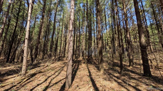 3665 Arivaca Drive, Millington, MI 48746