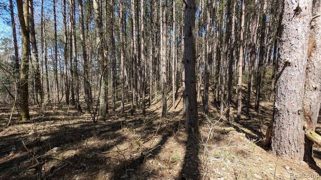 3665 Arivaca Drive, Millington, MI 48746