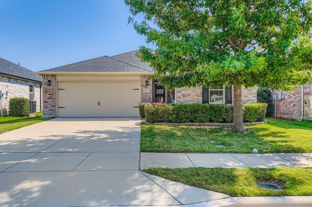 1713 Abby Creek Drive, Little Elm, TX 75068