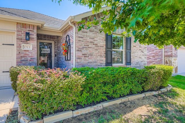 1713 Abby Creek Drive, Little Elm, TX 75068