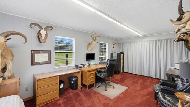 100 E Hill Ranch Lane, New Waverly, TX 77358