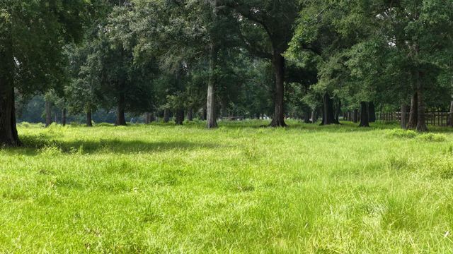 100 E Hill Ranch Lane, New Waverly, TX 77358