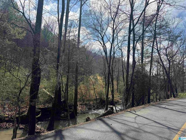 5615 MILES SPRING ROAD, Pinson, AL 35126