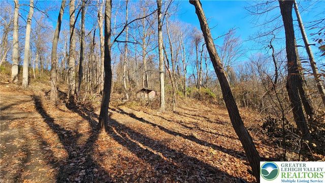 4057 Sherry Hill Road, Lower Saucon Twp, PA 18055