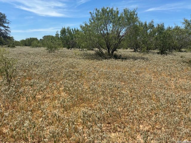 920 County Road 665, Devine, TX 78016