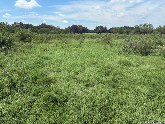 920 County Road 665, Devine, TX 78016