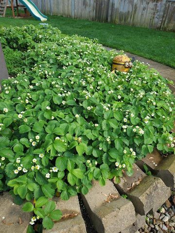 518 Church Street, Wisconsin Dells, WI 53965