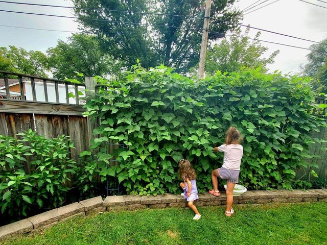 518 Church Street, Wisconsin Dells, WI 53965