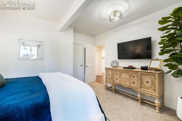 1004 Tree Bark Terrace, Monument, CO 80132