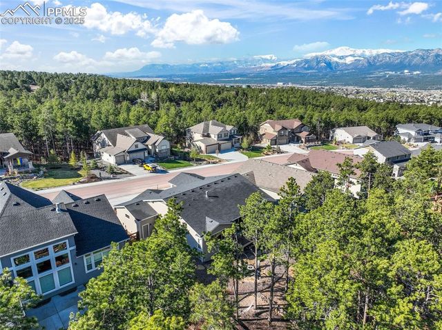 1004 Tree Bark Terrace, Monument, CO 80132