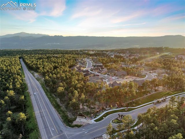 1004 Tree Bark Terrace, Monument, CO 80132