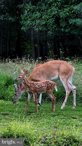 80 BARRICK HILL RD, Shermans Dale, PA 17090